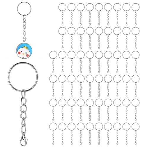 60 Stück Schlüsselring mit Kette, Schlüsselanhänger Ring Set Kette Basteln Selber Machen 25mm Silbrig mit Karabinerverschluss für DIY Schlüsselbund Basteln Schmuckherstellung von MDLSDE