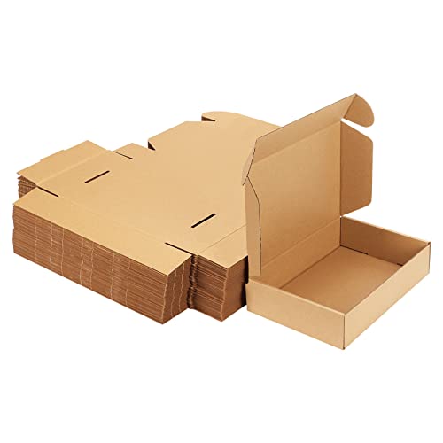 MEBRUDY 22,9 x 15,2 x 5,1 cm, 50 Stück, kleine Wellpappe, für Versandverpackungen, Literatur-Versandtaschen von MEBRUDY