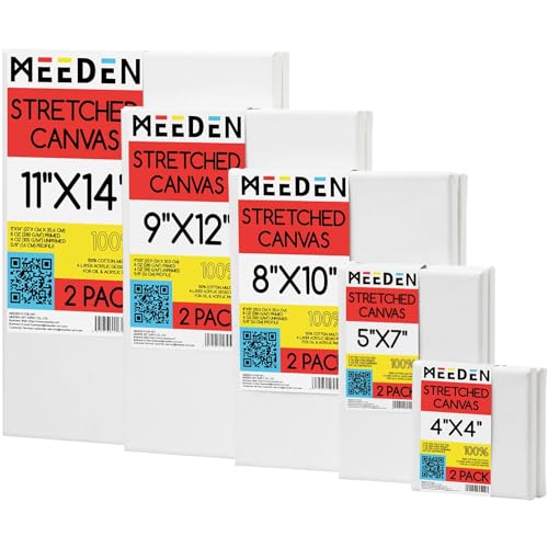 MEEDEN 10 Stück Leinwand Set, Leinwand Zum Bemalen, 10x10,12x18,20x25,23x30,28x35 cm, 100% Baumwolle Keilrahmen Künstlerbedarf für Malerei, Leinwände für Künstler, Hobbymaler & Anfänger von MEEDEN