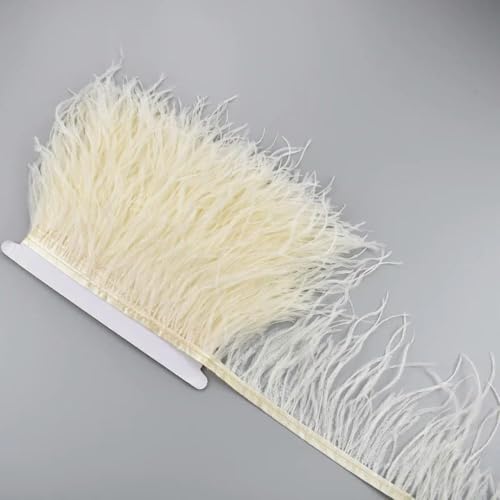 MEIFULLE 1 Meter weiße Straußenfedern auf Band, 10–15 cm, Federquaste, Fransenbesatz, Boa, zum Nähen, Handarbeiten, Kleidung, Dekoration MEIFULLE 1 Meter weiße Straußenfedern auf Band, 10–15 cm, Federquaste, Fransenbesatz, Boa, zum Nähen, Handarbeiten, Kleidung, Dekoration von MEIFULLE