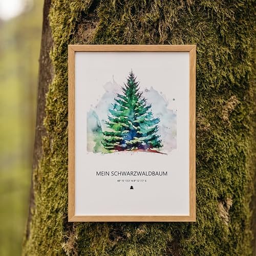 MEIN SCHWARZWALD BAUM Baumspende & Aquarell 'Tanne Classy' (Druck im Rahmen) | Nachhaltig | Geschenk Geburtstag, Hochzeit, Taufe, Danke, Geburt, Hochzeit, Jahrestag von MEIN SCHWARZWALD BAUM