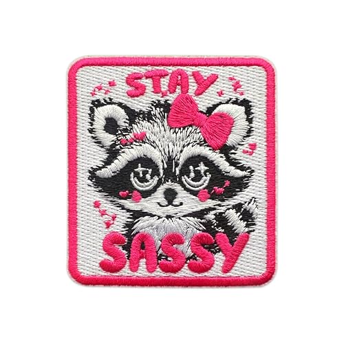 MEIYSTICK Stickerei-Aufnäher mit Aufschrift "Stay Sassy Raccoons" für Kleidung, Rucksäcke, Hüte, Jeans, Taschen, niedlicher Mädchen-Waschbär mit Schleife, Größe 7,6 cm, Bügelbild oder Aufnäher MEIYSTICK Stickerei-Aufnäher mit Aufschrift "Stay Sassy Raccoons" für Kleidung, Rucksäcke, Hüte, Jeans, Taschen, niedlicher Mädchen-Waschbär mit Schleife, Größe 7,6 cm, Bügelbild oder Aufnäher von MEIYSTICK