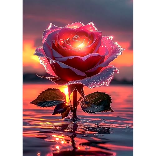 MEIYUDA 5D Diamond Painting Bilder Erwachsene Kinder Rose, Diamant Painting Bilder Diy Set Bild Blumen Diamond Painting, Malerei Kristall Diamond Painting Set Erwachsene für Home Wand Décor 30x40cm MEIYUDA 5D Diamond Painting Bilder Erwachsene Kinder Rose, Diamant Painting Bilder Diy Set Bild Blumen Diamond Painting, Malerei Kristall Diamond Painting Set Erwachsene für Home Wand Décor 30x40cm von MEIYUDA