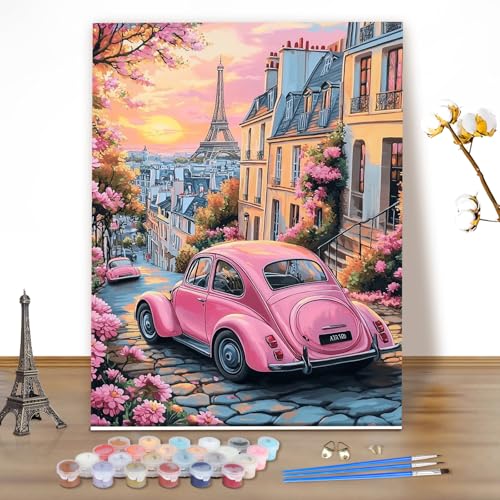 MEIYUDA Malen Nach Zahlen Erwachsene Paris bei Sonnenuntergang, DIY Set Handgemalt Ölgemälde Kit für Anfänger Mit 3 Pinseln und Acrylfarbe, Geschenke und Home Haus Deko 40x50cm(Ohne Rahmen) von MEIYUDA