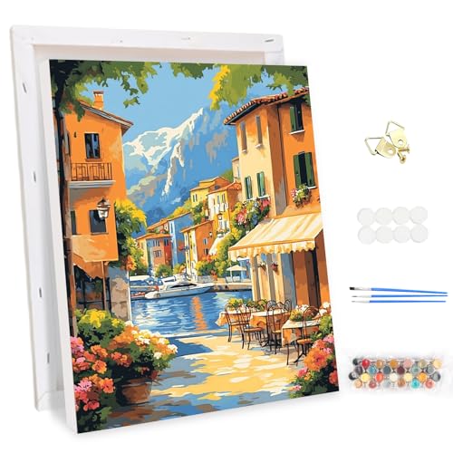 MEIYUDA Malen Nach Zahlen Erwachsene mit Rahmen Landschaft, DIY Garten Set Handgemalt Ölgemälde Kit für Anfänger und Erwachsene Mit 3 Pinseln und Acrylfarbe, Geschenke und Home Haus Deko 30x40cm von MEIYUDA