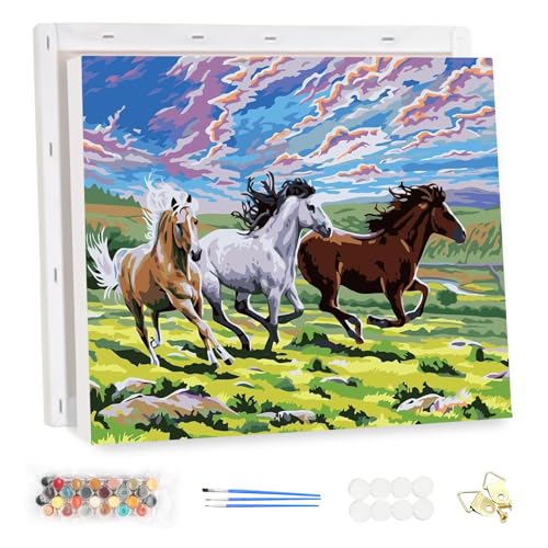 MEIYUDA Malen Nach Zahlen Erwachsene mit Rahmen Prärie Galoppierende Pferde, DIY Digitales Ölgemälde-Set auf Leinwand mit Pinseln und Acrylpigment, Artwork für Heimdekoration Geschenk 40x30cm MEIYUDA Malen Nach Zahlen Erwachsene mit Rahmen Prärie Galoppierende Pferde, DIY Digitales Ölgemälde-Set auf Leinwand mit Pinseln und Acrylpigment, Artwork für Heimdekoration Geschenk 40x30cm von MEIYUDA