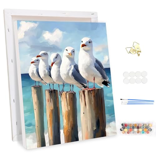 MEIYUDA Malen Nach Zahlen Erwachsene mit Rahmen Tier, DIY Möwen Set Handgemalt Ölgemälde Kit für Anfänger und Erwachsene Mit 3 Pinseln und Acrylfarbe, Geschenke und Home Haus Deko 30x40cm von MEIYUDA