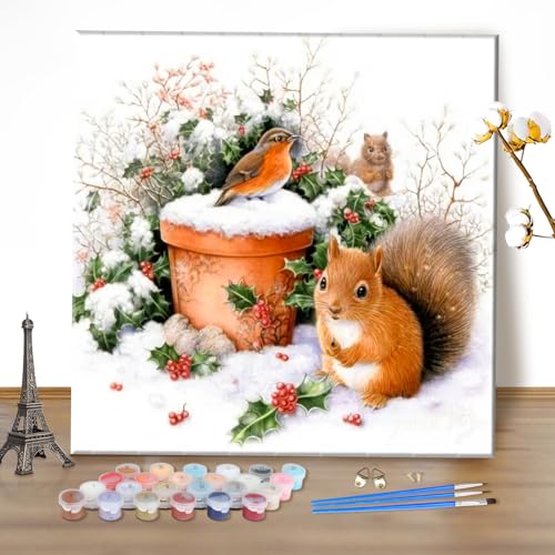 MEIYUDA Weihnachten Malen Nach Zahlen Erwachsene, Diy Set Erwachsene Vogel Bastelset, 3 Pinsels Und Acrylfarbe Diy Handgemalt öLgemäLde Kit Als Geschenk und Home Haus Deko 40x40cm(Ohne Rahmen) von MEIYUDA