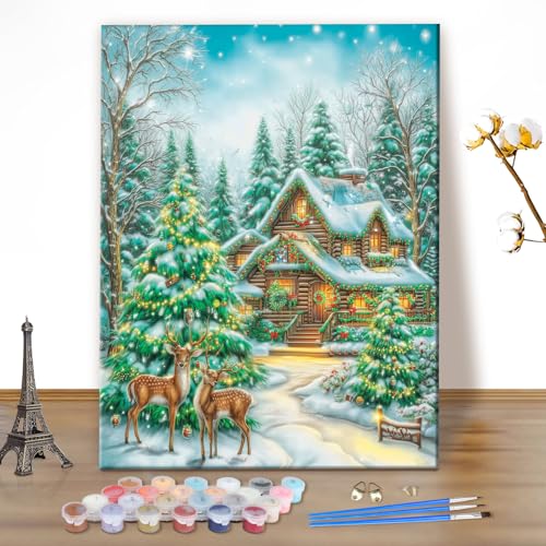 MEIYUDA Weihnachten Malen Nach Zahlen Erwachsene Winter, Paint by Numbers Bastelset Malen Nach Zahlen, DIY Set Handgemalt Ölgemälde Leinwand für Home Décor 40x50cm(Ohne Rahmen) von MEIYUDA