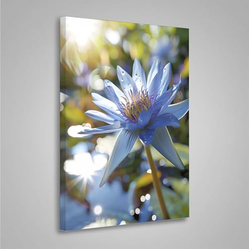 5D Diamant Painting Bilder Blume Diamond Painting Erwachsene Blumen DIY Runden Mosaikherstellung Basteln Erwachsene Anfänger Set für Heim Schlafzimmer Wand Deko, Geschenke 20x30cm PjY8224 M-1 5D Diamant Painting Bilder Blume Diamond Painting Erwachsene Blumen DIY Runden Mosaikherstellung Basteln Erwachsene Anfänger Set für Heim Schlafzimmer Wand Deko, Geschenke 20x30cm PjY8224 M-1 von MEOSUEWI