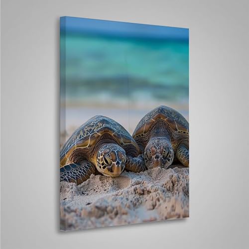 5D Diamant Painting Bilder Meeresschildkröten Diamond Painting Erwachsene Ozean DIY Runden Mosaikherstellung Basteln Erwachsene Anfänger Set für Schlafzimmer Wand Deko, Geschenke 30x40cm PjY4480 X-2 5D Diamant Painting Bilder Meeresschildkröten Diamond Painting Erwachsene Ozean DIY Runden Mosaikherstellung Basteln Erwachsene Anfänger Set für Schlafzimmer Wand Deko, Geschenke 30x40cm PjY4480 X-2 von MEOSUEWI