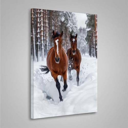 5D Diamant Painting Bilder Pferd Diamond Painting Erwachsene Tier DIY Runden Mosaikherstellung Basteln Erwachsene Anfänger Set für Heim Schlafzimmer Wand Deko Wohnzimmer, Geschenke 20x30cm PjY8322 B-6 5D Diamant Painting Bilder Pferd Diamond Painting Erwachsene Tier DIY Runden Mosaikherstellung Basteln Erwachsene Anfänger Set für Heim Schlafzimmer Wand Deko Wohnzimmer, Geschenke 20x30cm PjY8322 B-6 von MEOSUEWI