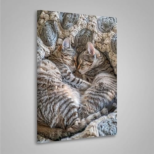 Diamond Painting Erwachsene Katze 5D Diamond Painting Full Drill Tier Diamant Malerei Bilder DIY Diamont Art Stickerei Set Geeignet Als Geschenk, Zur Entspannung und Wanddeko 30x40cm PjY8213 4-3 Diamond Painting Erwachsene Katze 5D Diamond Painting Full Drill Tier Diamant Malerei Bilder DIY Diamont Art Stickerei Set Geeignet Als Geschenk, Zur Entspannung und Wanddeko 30x40cm PjY8213 4-3 von MEOSUEWI