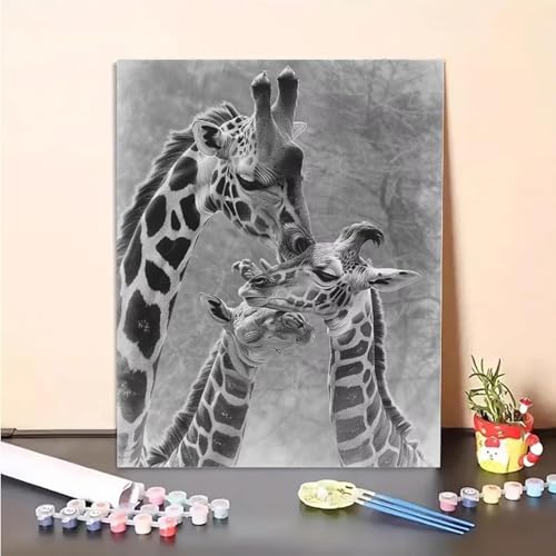 Giraffe Malen Nach Zahlen Tier Malen Nach Zahlen Erwachsene Set Mit Pinseln und Pigment Bastelset Erwachsene DIY Handgemalt Ölgemälde für Deko Schlafzimmer, Geschenke für Frauen 80 x 110 cm PJY8 Q-9 Giraffe Malen Nach Zahlen Tier Malen Nach Zahlen Erwachsene Set Mit Pinseln und Pigment Bastelset Erwachsene DIY Handgemalt Ölgemälde für Deko Schlafzimmer, Geschenke für Frauen 80 x 110 cm PJY8 Q-9 von MEOSUEWI