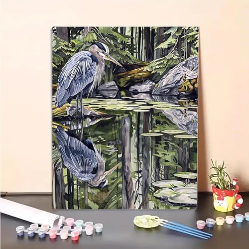 MEOSUEWI Malen Nach Zahlen Erwachsene Tier, Vogel Paint by Numbers DIY Set Mit Pinseln und Pigment Hobby Erwachsene Kreativ für Wohnzimmer, Zimmer Deko Asthetik, Geschenke für Frauen 30x40cm PJY2 3-W von MEOSUEWI