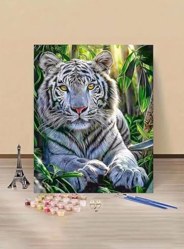 Malen Nach Zahlen Erwachsene xxl Paint by Numbers Tier Malen Nach Zahlen Weißer Tiger, DIY Geschenk Art mit Pinseln und Acrylfarben Handgemalt Ölgemälde Leinwand für Home Dekorieren （50x65cm）V-C von MEOSUEWI
