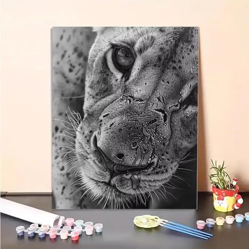 Tier Malen Nach Zahlen Löwe Malen Nach Zahlen Erwachsene Set Mit Pinseln und Pigment Bastelset Erwachsene DIY Handgemalt Ölgemälde für Deko Schlafzimmer, Geschenke für Frauen 70 x 95 cm PJY6 4-6 Tier Malen Nach Zahlen Löwe Malen Nach Zahlen Erwachsene Set Mit Pinseln und Pigment Bastelset Erwachsene DIY Handgemalt Ölgemälde für Deko Schlafzimmer, Geschenke für Frauen 70 x 95 cm PJY6 4-6 von MEOSUEWI