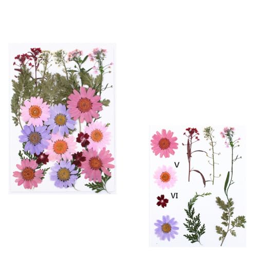 MEZHEN Wildflower Tortendeko Wildblumen Kuchen Deko Geburtstag Torte Deko Blumen Cake Topper Muffin Trockenblumen Kuchendeko Frauen Bridal Shower Hochzeit Party Dekoration MEZHEN Wildflower Tortendeko Wildblumen Kuchen Deko Geburtstag Torte Deko Blumen Cake Topper Muffin Trockenblumen Kuchendeko Frauen Bridal Shower Hochzeit Party Dekoration von MEZHEN