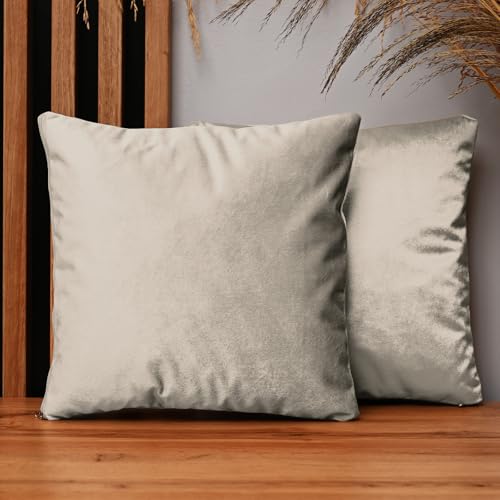 MG Design 2er Set Kissenbezug 35x35 cm Silber rechteck - aus Samtstoff, mit Reißverschluss - dekorative Kissenbezüge für Kissen 35x35, Deko Schlafzimmer, Deko Wohnzimmer MG Design 2er Set Kissenbezug 35x35 cm Silber rechteck - aus Samtstoff, mit Reißverschluss - dekorative Kissenbezüge für Kissen 35x35, Deko Schlafzimmer, Deko Wohnzimmer von MG Design