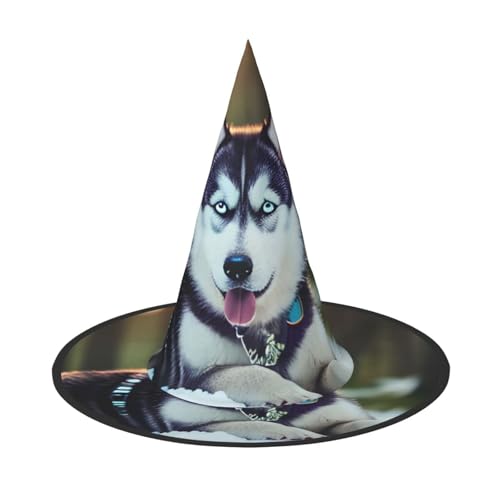 MGGAklp Husky Hund Druck Party Hut Halloween Karneval Hexen Hüte für Mottopartys Urlaub Dekor MGGAklp Husky Hund Druck Party Hut Halloween Karneval Hexen Hüte für Mottopartys Urlaub Dekor von MGGAklp