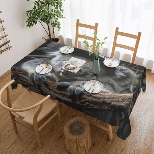 MGGAklp Rechteckige Tischdecke, Motiv: schlafende Koala-Kappe, waschbar, für Esszimmer, Party, drinnen und draußen von MGGAklp