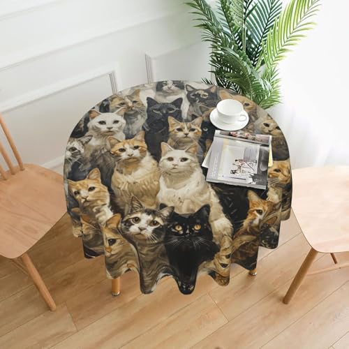 MGGAklp Tischdecke mit Katzendruck, waschbar, wiederverwendbar, für Zuhause, Urlaub, Party-Dekoration MGGAklp Tischdecke mit Katzendruck, waschbar, wiederverwendbar, für Zuhause, Urlaub, Party-Dekoration von MGGAklp