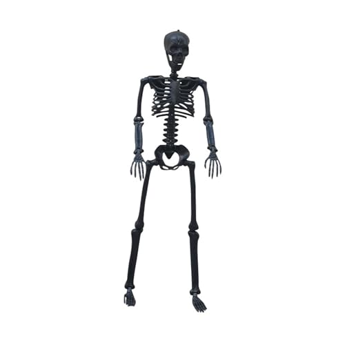 Bewegliche Halloween-Skelett-Dekoration, lebensgroßes hängendes Skelett mit beweglichen Gelenken für Horror-Party, Spukhaus und Outdoor-Dekoration Bewegliche Halloween-Skelett-Dekoration, lebensgroßes hängendes Skelett mit beweglichen Gelenken für Horror-Party, Spukhaus und Outdoor-Dekoration von MHADBKH