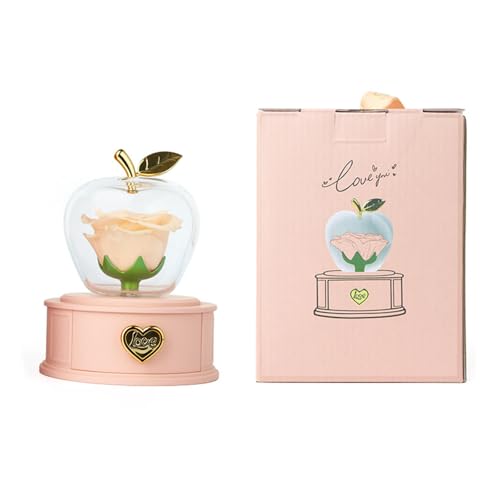 MHADBKH Elegante Schmuckschatulle in Obstform, schöne Rosen-Schmuckschatulle, Halsketten-Aufbewahrung, Halter für Muttertagsgeschenke MHADBKH Elegante Schmuckschatulle in Obstform, schöne Rosen-Schmuckschatulle, Halsketten-Aufbewahrung, Halter für Muttertagsgeschenke von MHADBKH