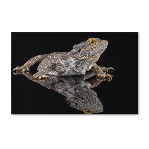 MHYBY DIY 5D Diamant Malerei Kit，Eidechse Reptilien Bartagamen Reflektiertes Tier Schwarz，Kristall Diamond Painting Kunst Handwerksbedarf für Wohnzimmer Wand Deko（40x50cm）-247 von MHYBY