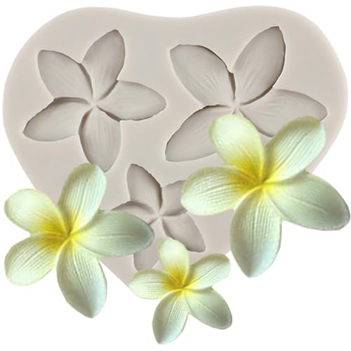 MINFEIDMS Frangipani Plumeria Blume Floral Silikon Fondant Form für Kuchen Dekoration Cupcake Topper Süßigkeiten Schokolade Gummipaste Polymer Clay MINFEIDMS Frangipani Plumeria Blume Floral Silikon Fondant Form für Kuchen Dekoration Cupcake Topper Süßigkeiten Schokolade Gummipaste Polymer Clay von MINFEIDMS