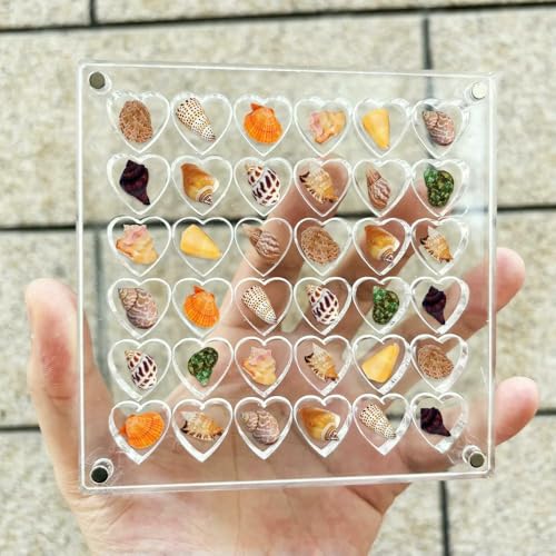 Schmuckschatulle, Muschelaufbewahrung, Acryl, kleine Schmuckaufbewahrung für den Schreibtisch, Mini-Diamant mit Deckel, 36/64 Fächer Schmuckschatulle, Muschelaufbewahrung, Acryl, kleine Schmuckaufbewahrung für den Schreibtisch, Mini-Diamant mit Deckel, 36/64 Fächer von MIONGKI