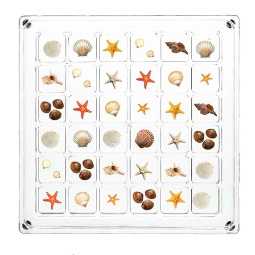 Schmuckschatulle, magnetisch, langlebig, Mini-Muschel, 36 Fächer, Steckplätze, Display, Muschelaufbewahrung Schmuckschatulle, magnetisch, langlebig, Mini-Muschel, 36 Fächer, Steckplätze, Display, Muschelaufbewahrung von MIONGKI