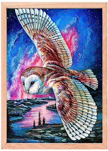 MISHBAY Diamond Painting Harry Potter - Eule 30x40cm Diamond Painting Erwachsene - Diamant Painting Bilder mit Rahmen - DIY 5D Satz Malen nach Zahlen von MISHBAY