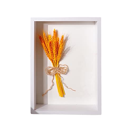 MISNODE Glasrahmen für getrocknete Blumen, 20,3 x 25,4 cm, Glas-Holz-Bilderrahmen für gepresstes Ohr von Weizenblumen, Schreibtischrahmen, getrocknete Blumen, Display für Zuhause, DIY-Geschenk von MISNODE