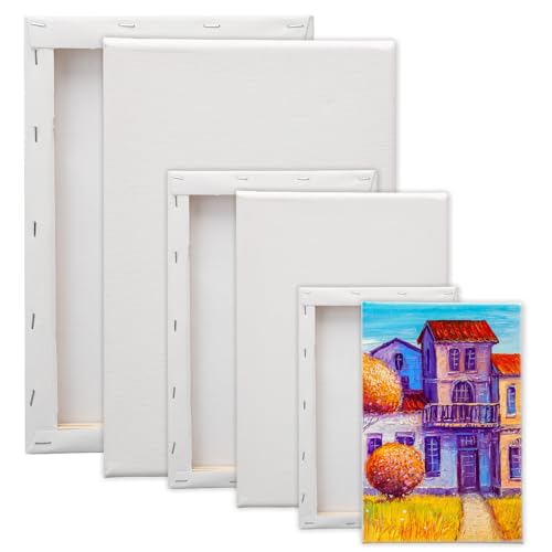 Leinwand zum Bemalen Set, 6 Stück Keilrahmen Set Canvas Painting (10x15, 15x20, 20x30 cm) Leinwand aus Baumwolle, Leinwände Malen Canvas Künstlertafelbilder für Öl-, Gouache-, Acrylfarben, Weiß von MIUUIPI