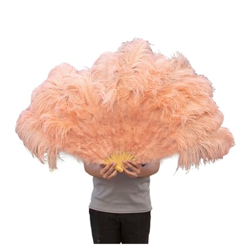 MKLHAVB Federfächer, 100 cm lang, faltbar, handgehalten, Federfächer, Leistungsfächer for Karneval, Party, Bühnenshow, Requisiten(Champagne,2PCS) von MKLHAVB