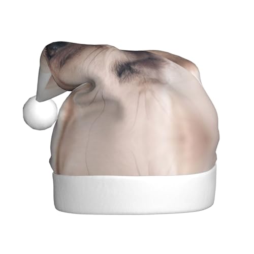 MLTRFGJ Niedliche Chihuahua-bedruckte Weihnachtsmütze für Erwachsene, festliches Partyzubehör für Weihnachten und Neujahr von MLTRFGJ