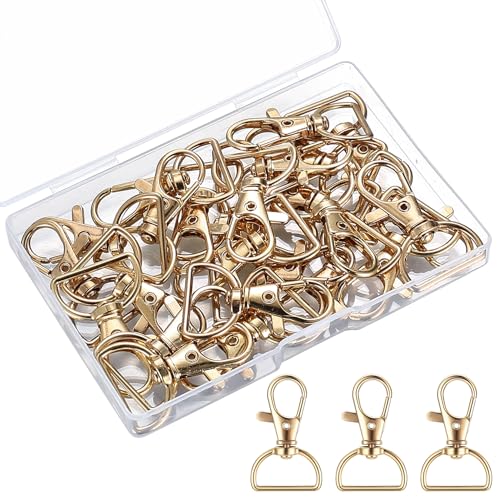 25 Stück Golden Karabiner Schlüsselanhänger Karabinerhaken Schlüsselanhänger mit Karabinerverschluss, Karabinerhaken mit Drehgelenk D-Ring Schlüsselringe für Taschen DIY Handwerk Makramee Zubehör. 25 Stück Golden Karabiner Schlüsselanhänger Karabinerhaken Schlüsselanhänger mit Karabinerverschluss, Karabinerhaken mit Drehgelenk D-Ring Schlüsselringe für Taschen DIY Handwerk Makramee Zubehör. von MMDBD