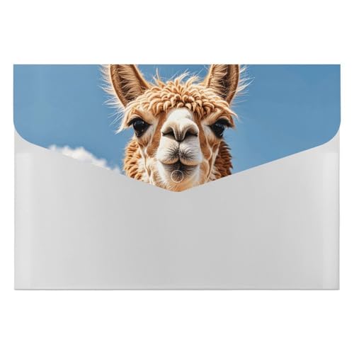Akkordeon-Aktenordner, Fächermappe mit 6 Fächern, Alpaka, Lama, Akkordean, Organizer, tragbare Dokumenten-Organizer, Tasche, A4-Papieraktenhalter für Büro, Rechnungen, Quittungen Akkordeon-Aktenordner, Fächermappe mit 6 Fächern, Alpaka, Lama, Akkordean, Organizer, tragbare Dokumenten-Organizer, Tasche, A4-Papieraktenhalter für Büro, Rechnungen, Quittungen von MNVTSKOP
