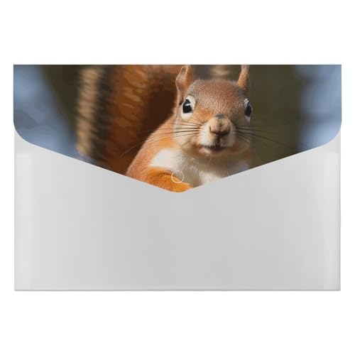 Akkordeon-Aktenordner, Fächermappe mit 6 Fächern, Eichhörnchen, lustiger Tier-Akkordean-Ordner, tragbarer Dokumenten-Organizer, Tasche, A4-Papier-Aktenhalter für Büro, Rechnungen, Quittungen Akkordeon-Aktenordner, Fächermappe mit 6 Fächern, Eichhörnchen, lustiger Tier-Akkordean-Ordner, tragbarer Dokumenten-Organizer, Tasche, A4-Papier-Aktenhalter für Büro, Rechnungen, Quittungen von MNVTSKOP