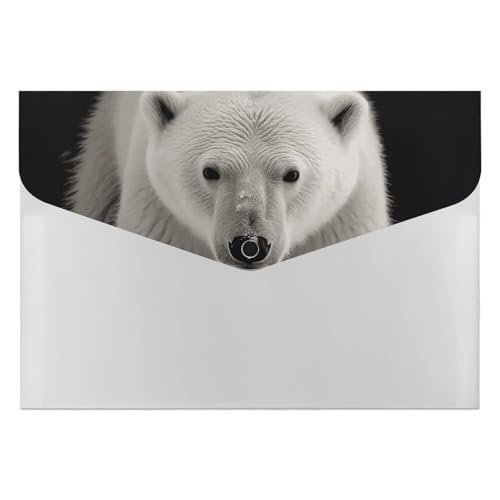 Akkordeon-Aktenordner, Fächermappe mit 6 Fächern, Eisbär, Akkordean-Ordner, tragbarer Dokumenten-Organizer, Tasche, A4-Papier-Aktenhalter für Büro, Rechnungen, Quittungen Akkordeon-Aktenordner, Fächermappe mit 6 Fächern, Eisbär, Akkordean-Ordner, tragbarer Dokumenten-Organizer, Tasche, A4-Papier-Aktenhalter für Büro, Rechnungen, Quittungen von MNVTSKOP