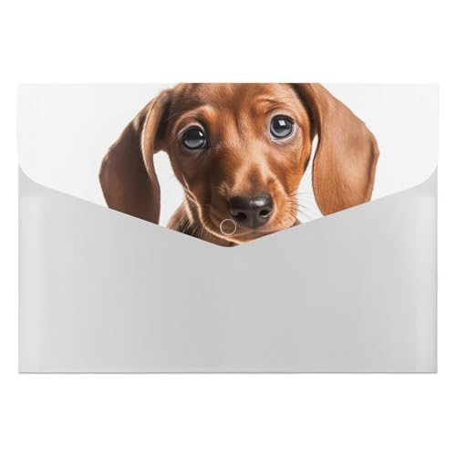 Akkordeon-Aktenordner, Fächermappe mit 6 Fächern, Hund mit Rosen-Akkordean-Akkordean-Ordner, tragbarer Dokumenten-Organizer, A4-Papier-Aktenhalter für Büro, Rechnungen, Quittungen von MNVTSKOP