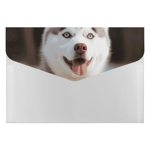 Akkordeon-Aktenordner, Fächermappe mit 6 Fächern, Husky, Pikant, Hund, Akkordean, Organizer, tragbare Dokumenten-Organizer, Tasche, A4-Papieraktenhalter für Büro, Rechnungen, Quittungen Akkordeon-Aktenordner, Fächermappe mit 6 Fächern, Husky, Pikant, Hund, Akkordean, Organizer, tragbare Dokumenten-Organizer, Tasche, A4-Papieraktenhalter für Büro, Rechnungen, Quittungen von MNVTSKOP