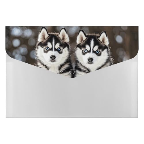 Akkordeon-Aktenordner, Fächermappe mit 6 Fächern, Husky, Welpen, Hunde, Akkordean, Organizer, tragbare Dokumenten-Organizer, Tasche, A4-Papier-Aktenhalter für Büro, Rechnungen, Quittungen Akkordeon-Aktenordner, Fächermappe mit 6 Fächern, Husky, Welpen, Hunde, Akkordean, Organizer, tragbare Dokumenten-Organizer, Tasche, A4-Papier-Aktenhalter für Büro, Rechnungen, Quittungen von MNVTSKOP
