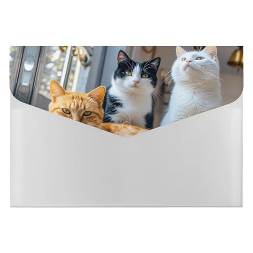 Akkordeon-Aktenordner, Fächermappe mit 6 Fächern, Katzen-Akkordeon-Ordner, tragbarer Dokumenten-Organizer, A4-Papier-Aktenhalter für Büro, Rechnungen, Quittungen von MNVTSKOP