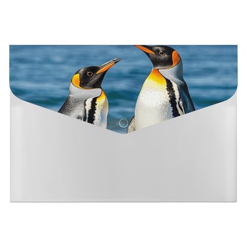 Akkordeon-Aktenordner, Fächermappe mit 6 Fächern, Pinguin- und Meeresakkordean-Ordner, tragbarer Dokumenten-Organizer, A4-Papieraktenhalter für Büro, Rechnungen, Quittungen von MNVTSKOP