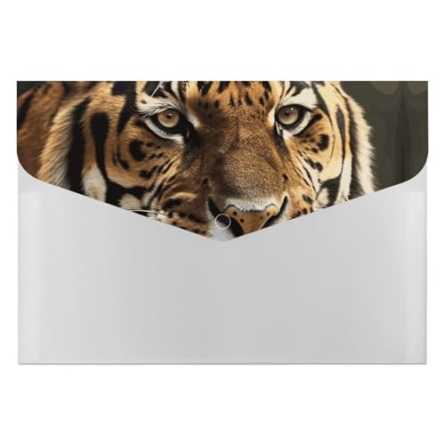 Akkordeon-Aktenordner, Fächermappe mit 6 Fächern, Tiger-Akkordeon-Ordner, tragbarer Dokumenten-Organizer, Tasche, A4-Papier-Aktenhalter für Büro, Rechnungen, Quittungen Akkordeon-Aktenordner, Fächermappe mit 6 Fächern, Tiger-Akkordeon-Ordner, tragbarer Dokumenten-Organizer, Tasche, A4-Papier-Aktenhalter für Büro, Rechnungen, Quittungen von MNVTSKOP