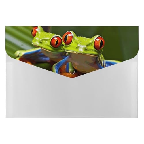 Akkordeon-Aktenordner, Fächermappe mit 6 Fächern, rote Augen, Baumfrosch, Akkordean, Organizer, tragbare Dokumenten-Organizer, Tasche, A4-Papieraktenhalter für Büro, Rechnungen, Quittungen Akkordeon-Aktenordner, Fächermappe mit 6 Fächern, rote Augen, Baumfrosch, Akkordean, Organizer, tragbare Dokumenten-Organizer, Tasche, A4-Papieraktenhalter für Büro, Rechnungen, Quittungen von MNVTSKOP