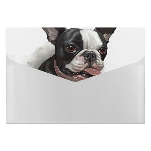 Akkordeon-Aktenordner, Fächermappe mit 6 Taschen, Boston Terrier, Akkordean-Ordner, tragbarer Dokumenten-Organizer, A4-Papier-Aktenhalter für Büro, Rechnungen, Quittungen Akkordeon-Aktenordner, Fächermappe mit 6 Taschen, Boston Terrier, Akkordean-Ordner, tragbarer Dokumenten-Organizer, A4-Papier-Aktenhalter für Büro, Rechnungen, Quittungen von MNVTSKOP