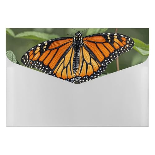 Akkordeon-Aktenordner, Fächermappe mit 6 Taschen, Monarch-Schmetterling, Akkordean-Ordner, tragbarer Dokumenten-Organizer, A4-Papier-Aktenhalter für Büro, Rechnungen, Quittungen Akkordeon-Aktenordner, Fächermappe mit 6 Taschen, Monarch-Schmetterling, Akkordean-Ordner, tragbarer Dokumenten-Organizer, A4-Papier-Aktenhalter für Büro, Rechnungen, Quittungen von MNVTSKOP